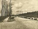 James Craig Annan (1864 - 1946) Schafherde mit Hirten bei Utrecht (